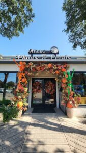 alamo plants petals san antonio 585