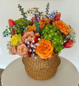 alta creations frisco 137