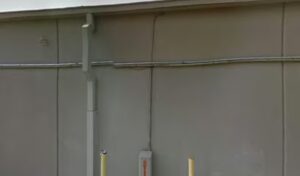 angels divine flowers spring 69