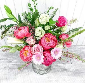 apa designs friendswood 1662