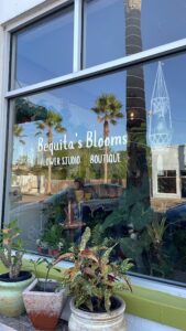 bequitas blooms botanicals harlingen 368