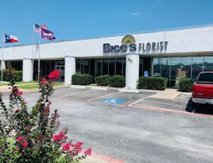bices florist hurst 242