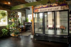 bloom and leaf leander 243