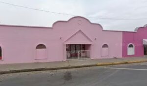 bloom roses mcallen 1240