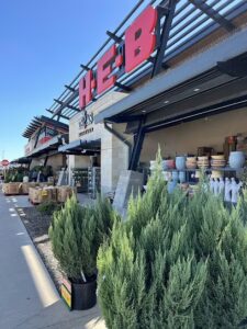 blooms market plano 969