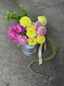 botanic girls plano 649