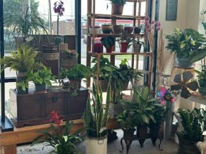 box of rain floral lubbock 614