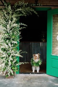 bramble and bee tomball 251