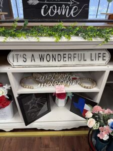 bright dreamy blooms canton 529