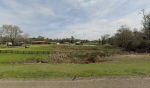 calies country florist gilmer 1308