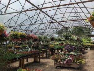 carters florist nursery landscaping conroe 139