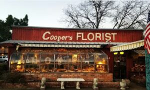 coopers florist hurst 355