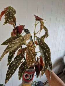 creative garden art garland 25