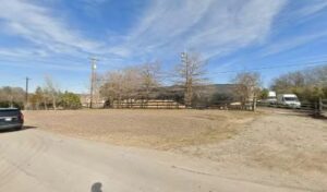 creative greenery of dallas allen 237