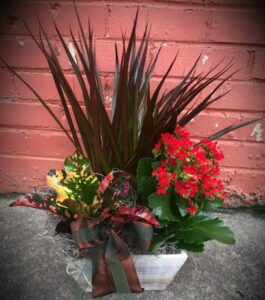 debs gift floral marlin 463