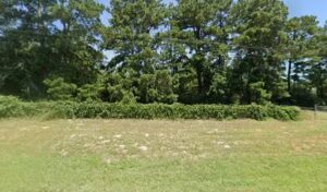 dirt roses bastrop 636