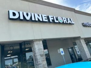 divine floral gifts flower delivery arlington 423