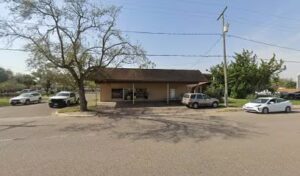 donna florist donna 557