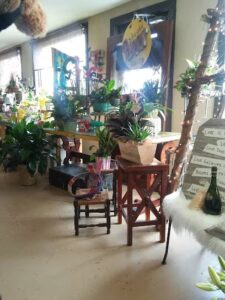 enchanted florist more amarillo 1023