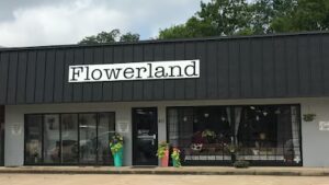 flowerland florist sulphur springs 658