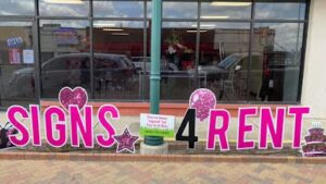 flowers more by joy in a box la feria 574