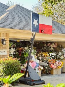 flowery elegance katy 462