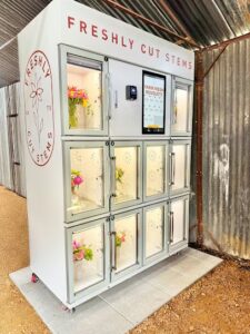 freshly cut stems van alstyne 257