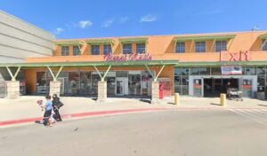 h e b florist kyle 1468