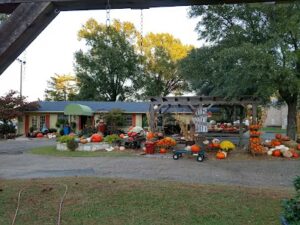 hn floral gifts garden texarkana 759