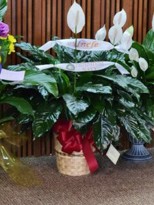 j keens florist vidor 75