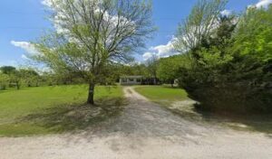 jess florals celina 463