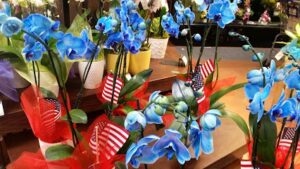 kroger floral clute 781