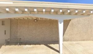 kroger floral orange 787