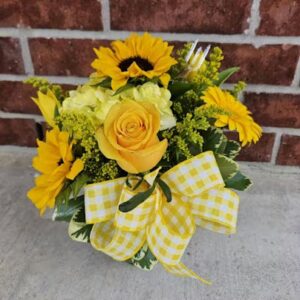 laura bees lufkin 458