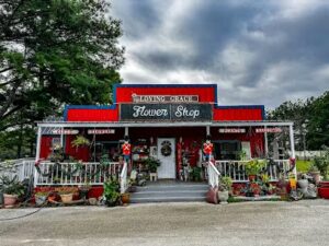 loving grace flowers magnolia 7