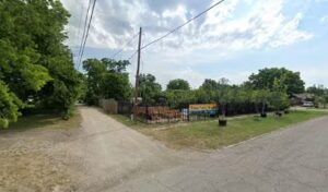 nurseria tres palmas temple 1642