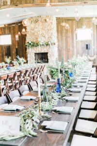 petal pushers dripping springs 466