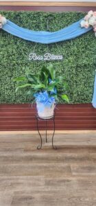 Rosa blanca flower shop rosa blanca flower shop cleveland 263