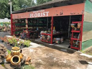 roseland flower pearland 37