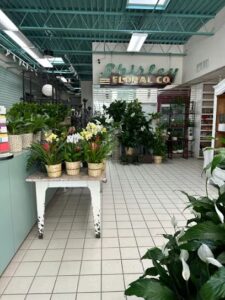 shirley floral company san angelo 512