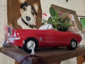 sweet expressions quitman 1564